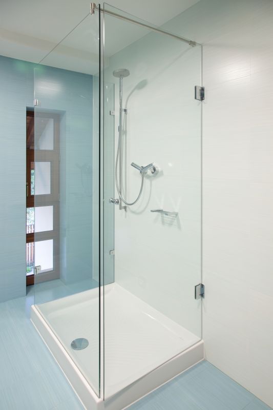 Elegant Shower Upgrade
